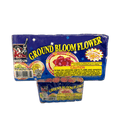#08007 GROUND BLOOM