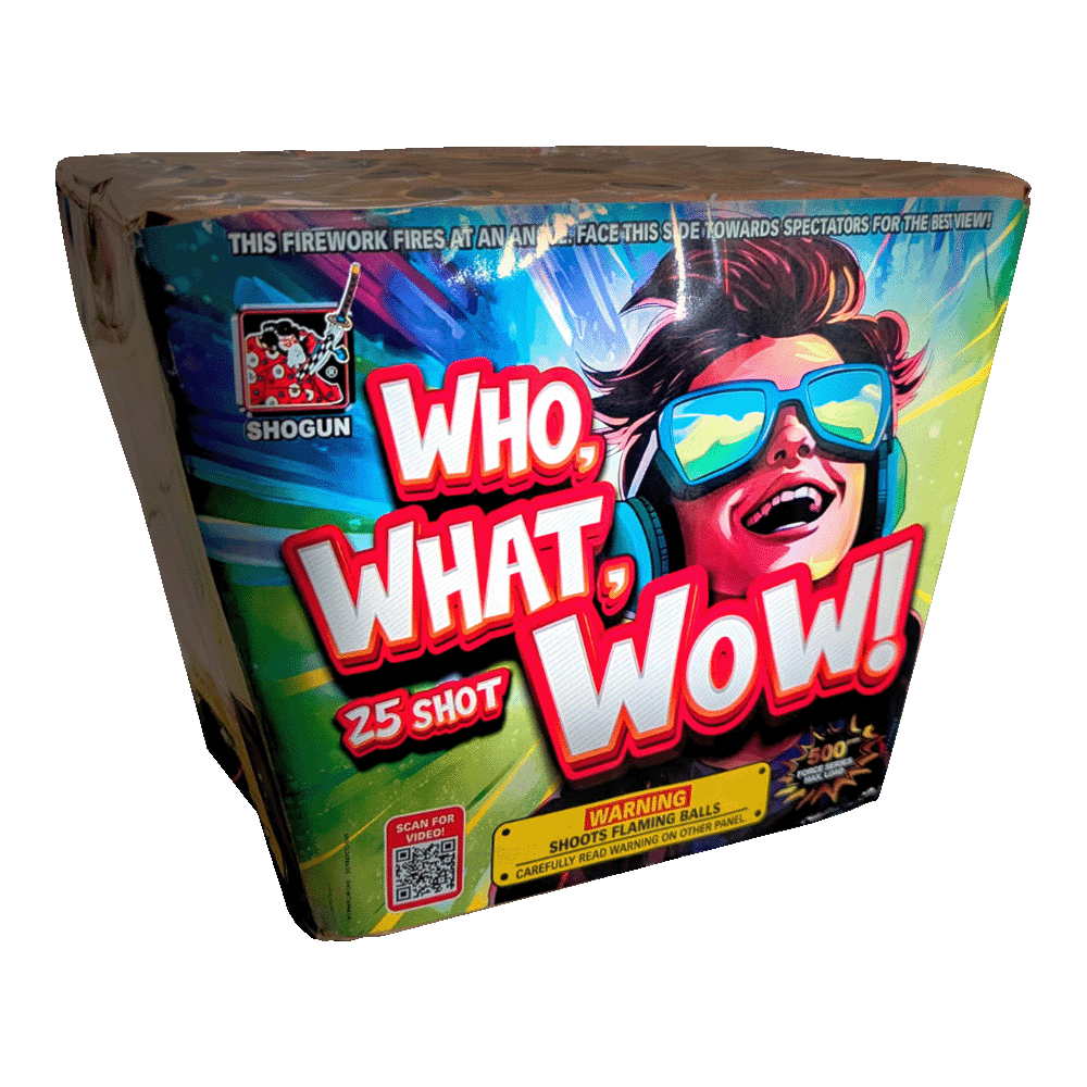 #12808-WHO, WHAT, WOW