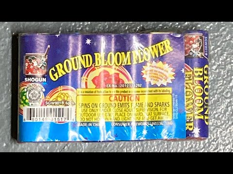 #08007 GROUND BLOOM