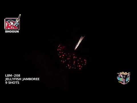 #12605 JELLYFISH JAMBOREE