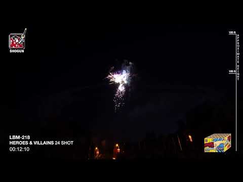 #12562 Heroes and Villians