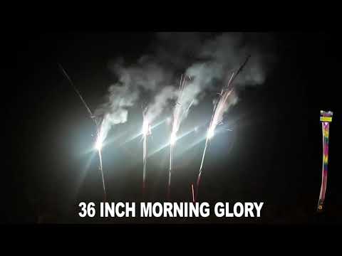 #15038 36" Morning Glories Sparklers